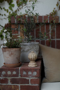 Magnolia Mango Wood Finials