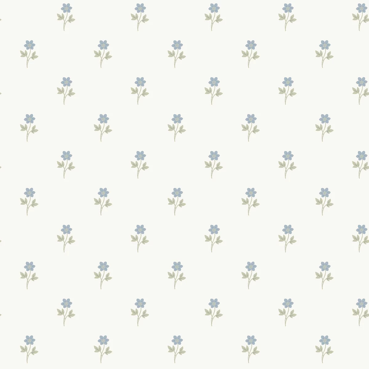 Anemone Wallpaper