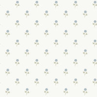 Anemone Wallpaper