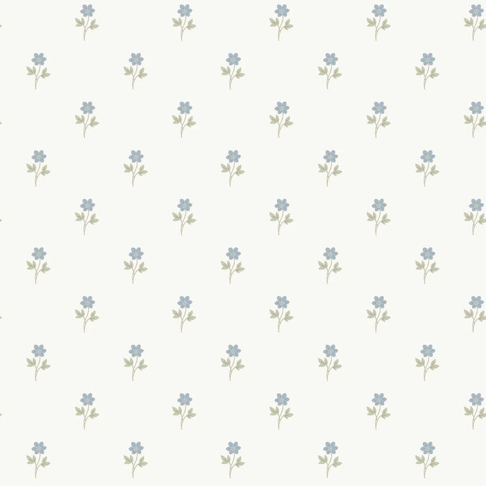 Anemone Wallpaper