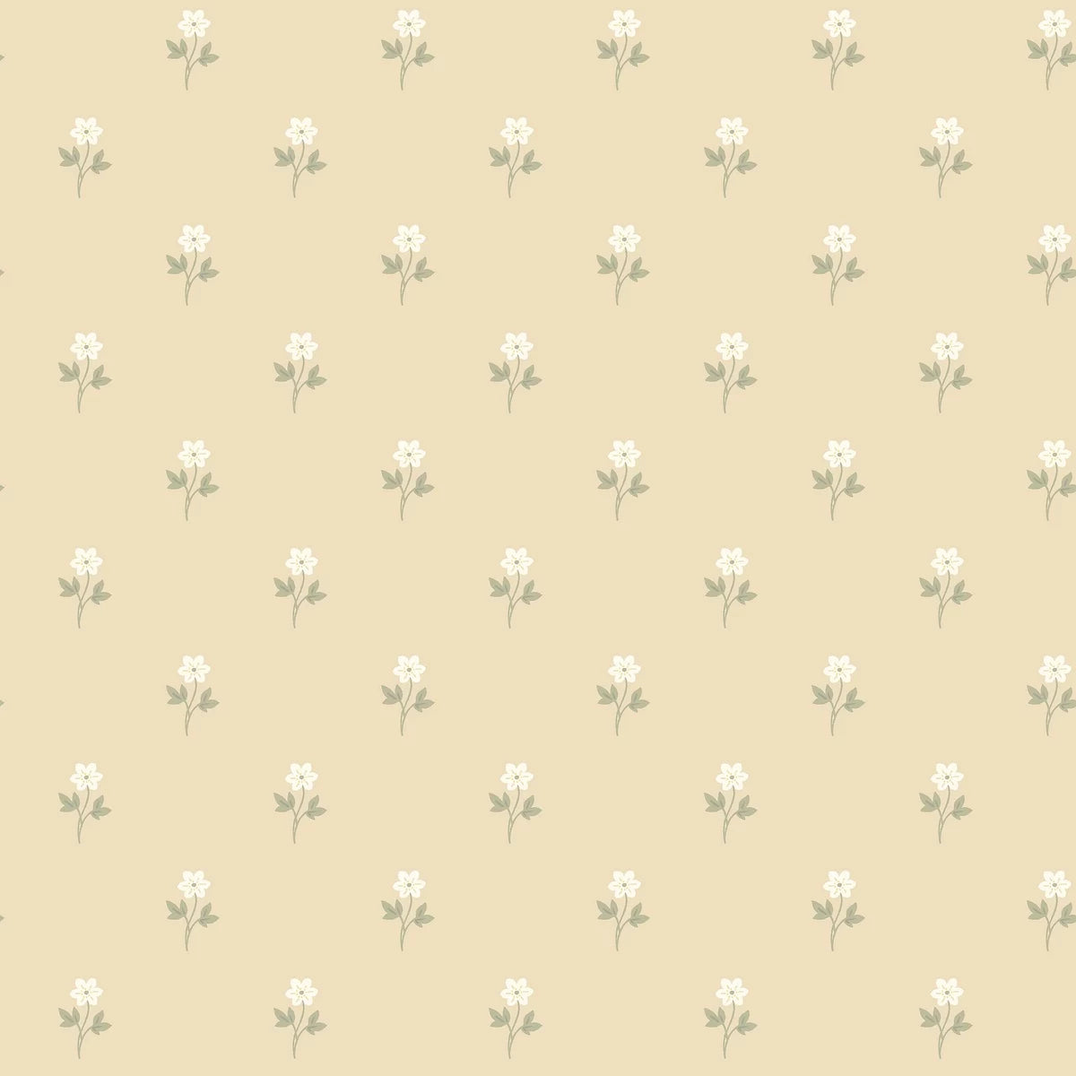 Anemone Wallpaper