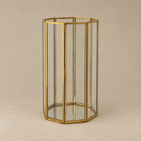 A hexagonal glass terrarium with a polished gold brass frame, featuring mirrored glass panels on a neutral beige background.