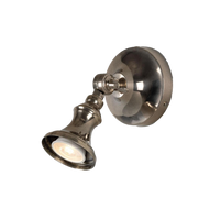 Cottage Traditional Brass Spot Light