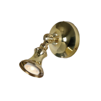 Cottage Traditional Brass Spot Light