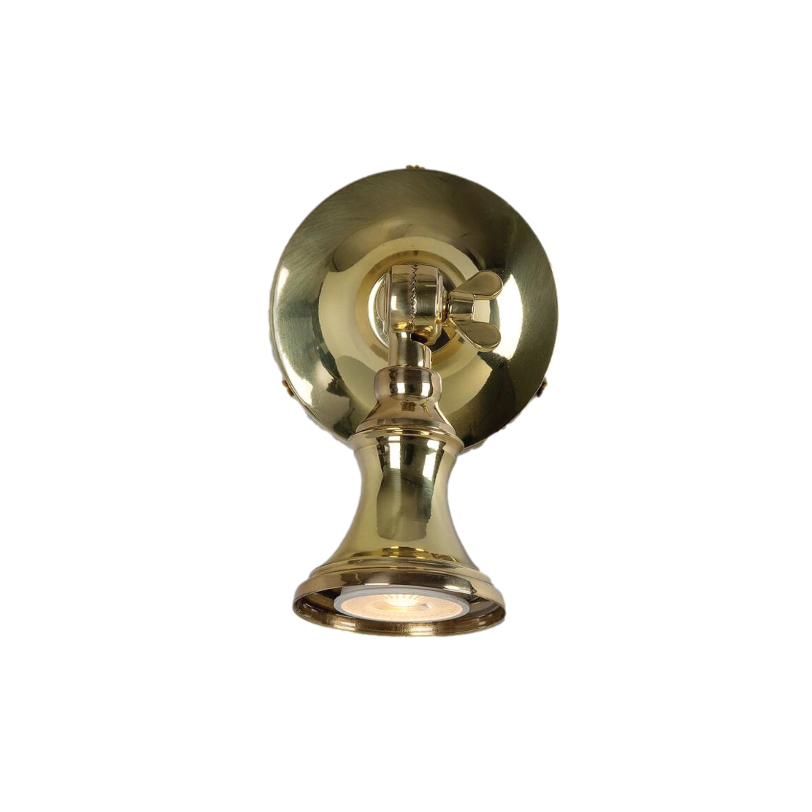 Cottage Traditional Brass Spot Light