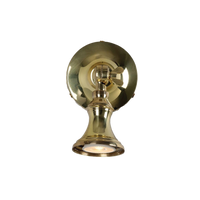 Cottage Traditional Brass Spot Light