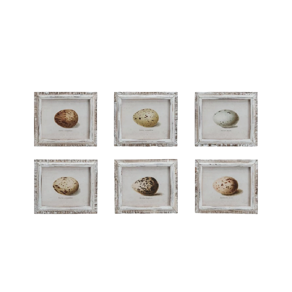 Speckled Eggs Framed Artwork