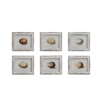 Speckled Eggs Framed Artwork