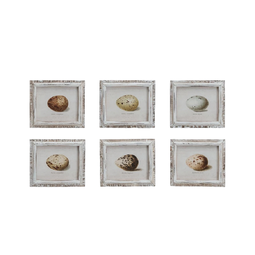 Speckled Eggs Framed Artwork