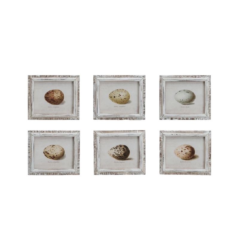 Speckled Eggs Framed Artwork
