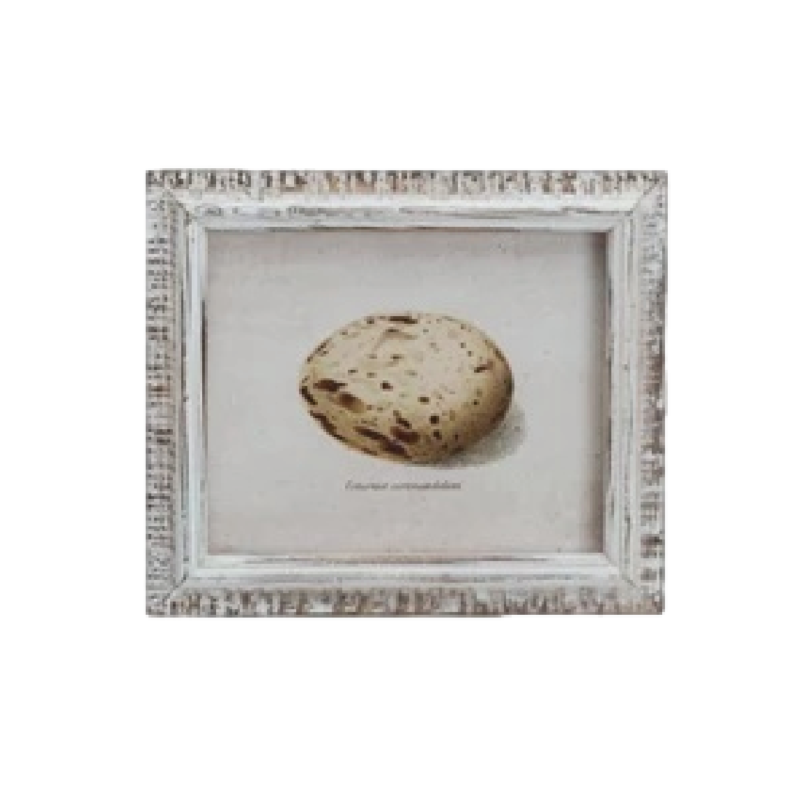 Speckled Eggs Framed Artwork