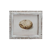 Speckled Eggs Framed Artwork