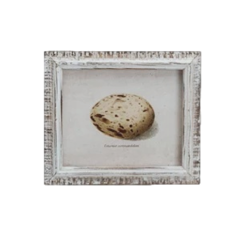 Speckled Eggs Framed Artwork