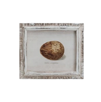 Speckled Eggs Framed Artwork