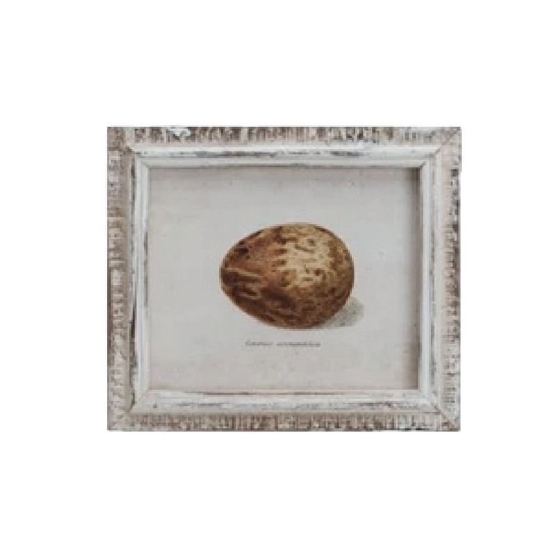 Speckled Eggs Framed Artwork