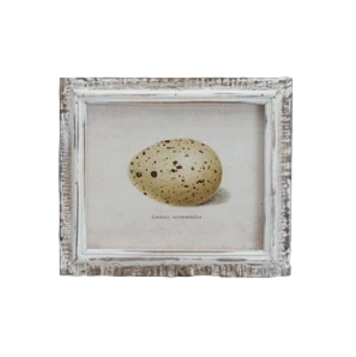 Speckled Eggs Framed Artwork