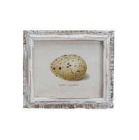 Speckled Eggs Framed Artwork