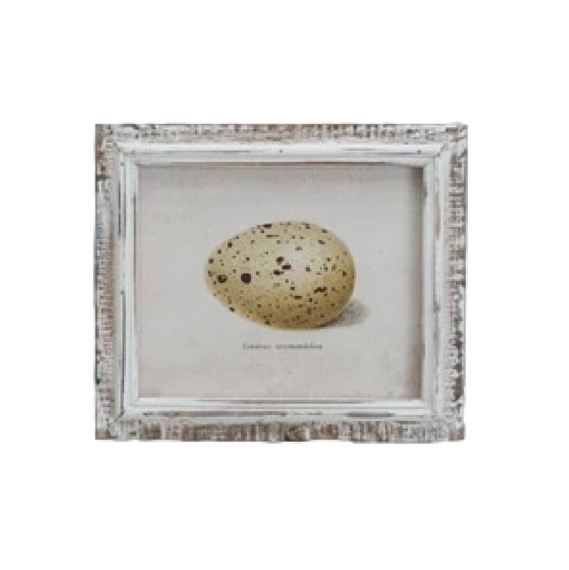 Speckled Eggs Framed Artwork
