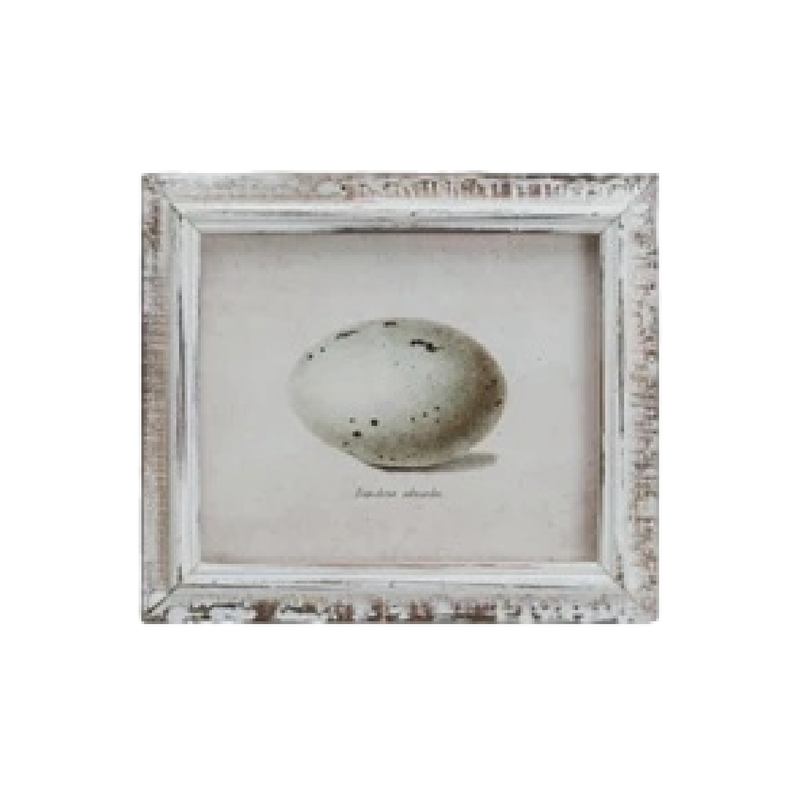 Speckled Eggs Framed Artwork