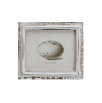 Speckled Eggs Framed Artwork