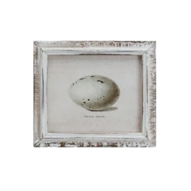 Speckled Eggs Framed Artwork