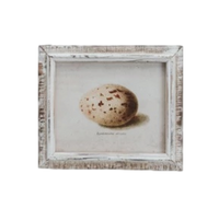 Speckled Eggs Framed Artwork