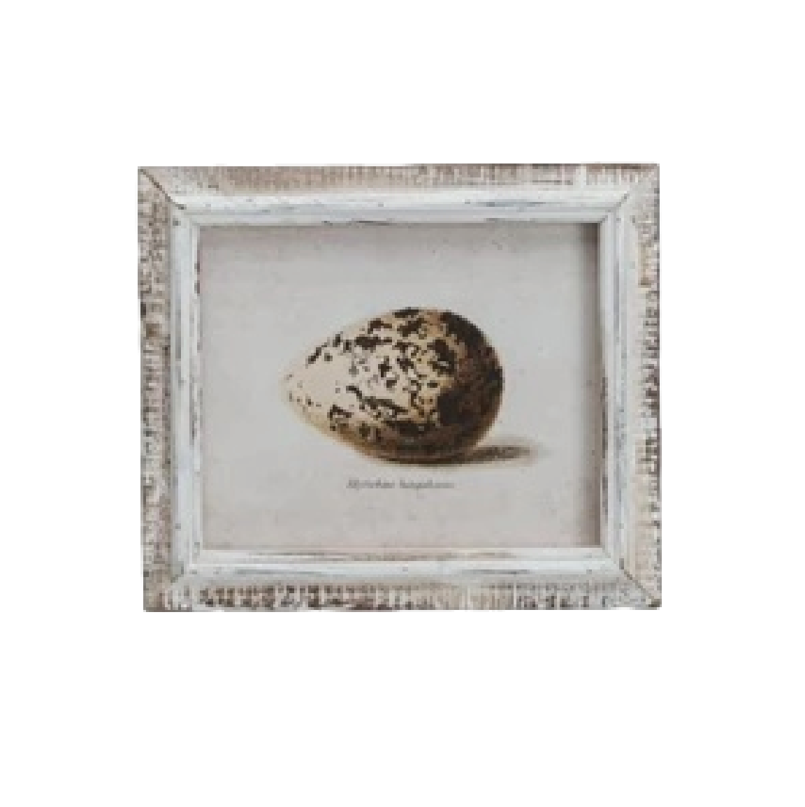 Speckled Eggs Framed Artwork
