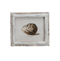 Speckled Eggs Framed Artwork