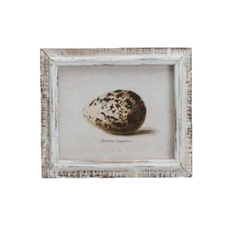 Speckled Eggs Framed Artwork