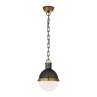 Hicks Globe Pendant