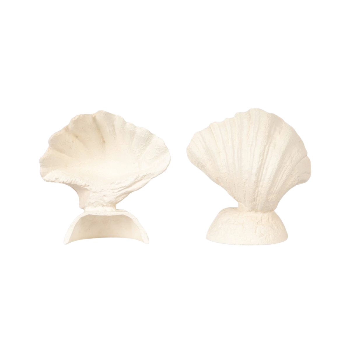Lana Seashell Bookends