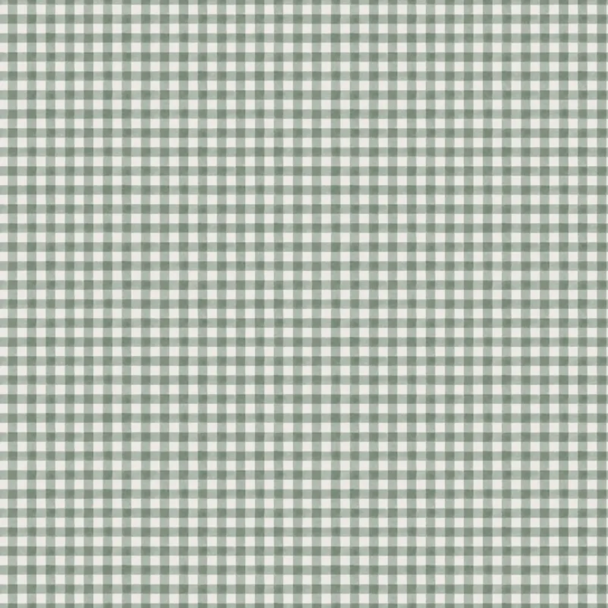 Ruta Wallpaper