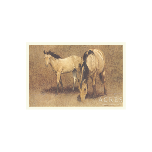 Twin Horses - Unframed Art Print