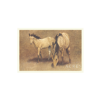 Twin Horses - Unframed Art Print