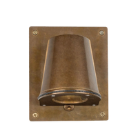 Westyn Outdoor Wall Spotlight