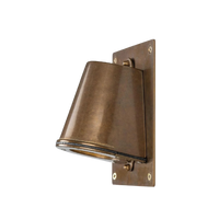 Westyn Outdoor Wall Spotlight