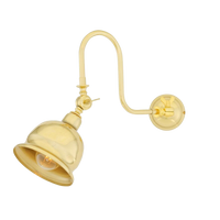 Apia Vintage Swivel Picture Light