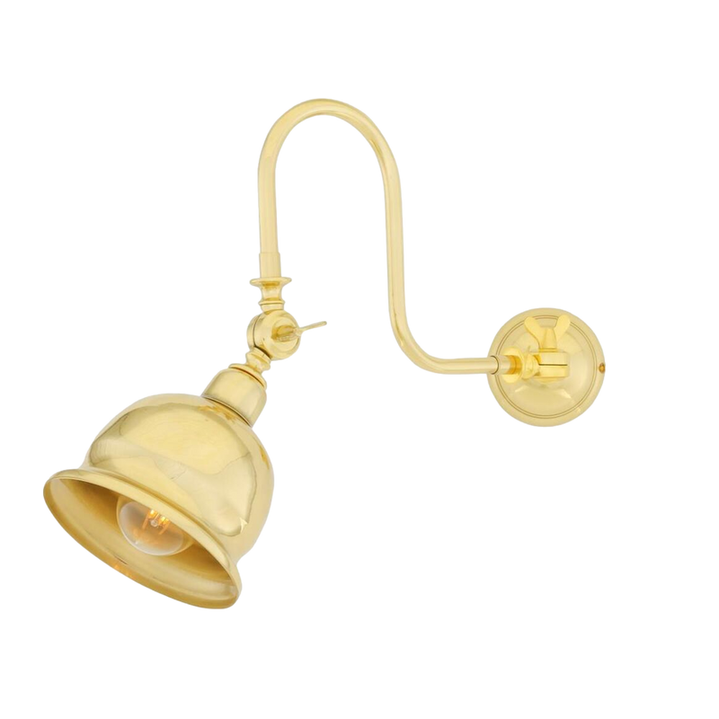 Apia Vintage Swivel Picture Light