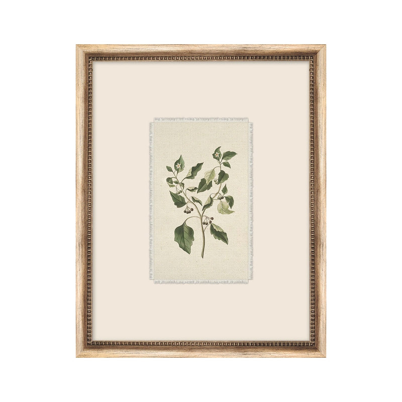 Petite Floral No. 05 Framed Art Work