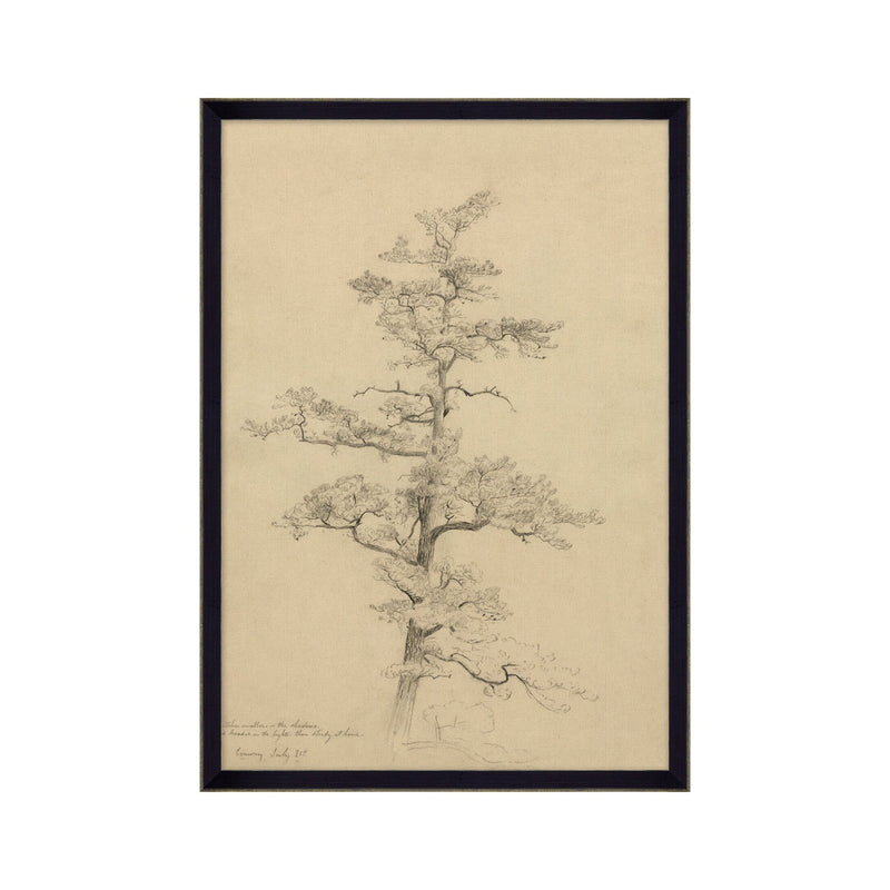 July Pine Tree Framed Artwork