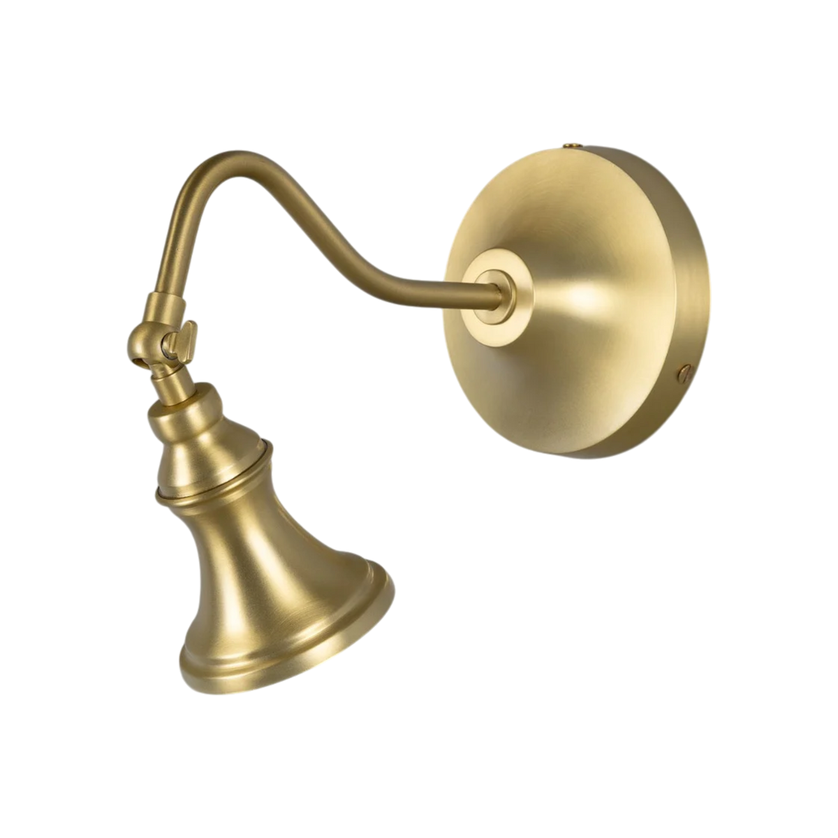 Oxford Adjustable Spotlight