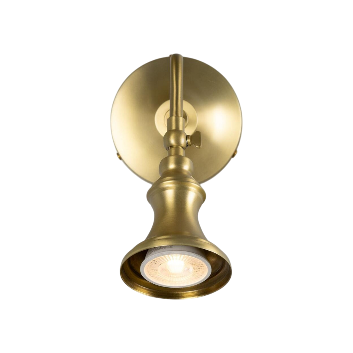 Oxford Adjustable Spotlight