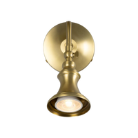 Oxford Adjustable Spotlight