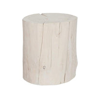 Salish Stump