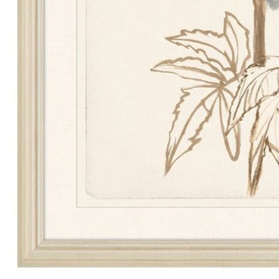 Floral Botanicals Framed Artwork
