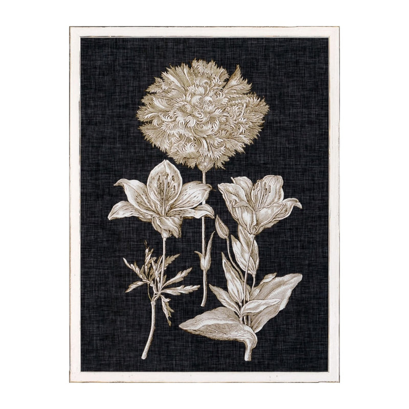 Botanical Sketch No. IV Framed Artwork