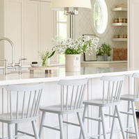 Georgia Counter Stools - Set of 2
