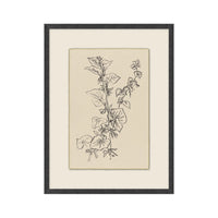 Garden Drawing No. 02