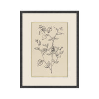 Garden Drawing No. 03